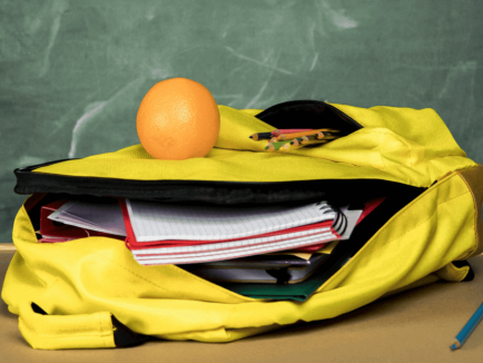 A importância da educação financeira